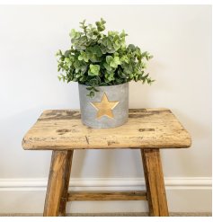 A rustic cement planter with a gold painted star. A rough luxe decorative accessory for the home.