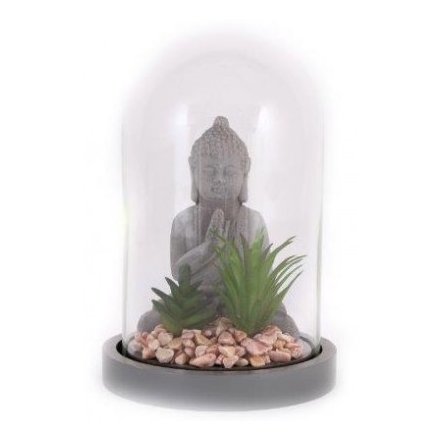 Buddha & Succulent Dome, 21cm 