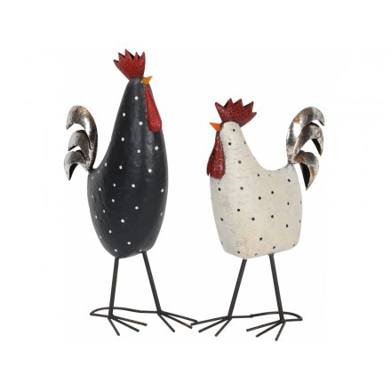 Dotty Chicken and Rooster, 2a