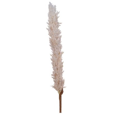 XL Cream Pampas Grass Stem, 103cm