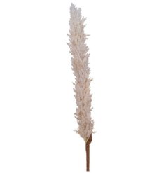 An on trend and totally gorgeous pampas grass stem in cream.