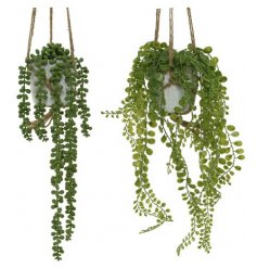 An assortment of 2 fine quality hanging artificial plants. Each has rustic string and comes in an attractive pot.