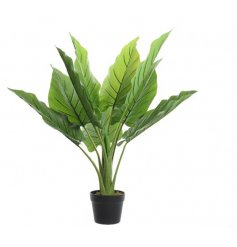 A large and richly coloured artificial Strelitzia plant with black pot.