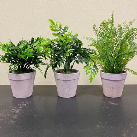 A mix of 3 potted artificial fern plants. An attractive accessory for the home or garden. 
