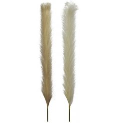 Create a statement in the home with this on trend and totally gorgeous artificial pampas grass in cream and natural hues