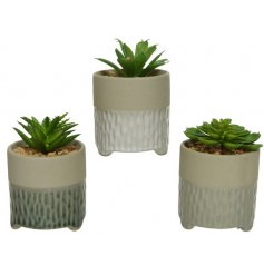 An assortment of 3 fine quality artificial succulents set within decorative stoneware vases  