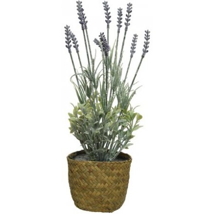 Artificial Lavender W/Seagrass Pot