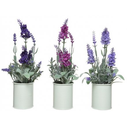 Artificial Lavender Plants, 3a