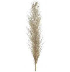 Stay on trend with this fine quality, authentic looking artificial pampas grass. 