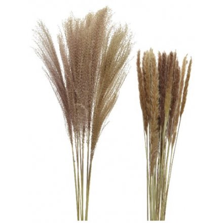 Natural Pampas Grass Mix 85cm/75cm