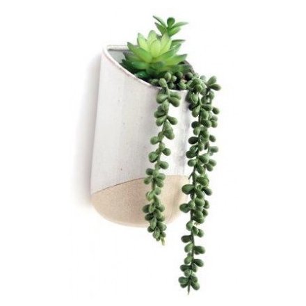 Artificial Draping Succulent In Wall Pot 