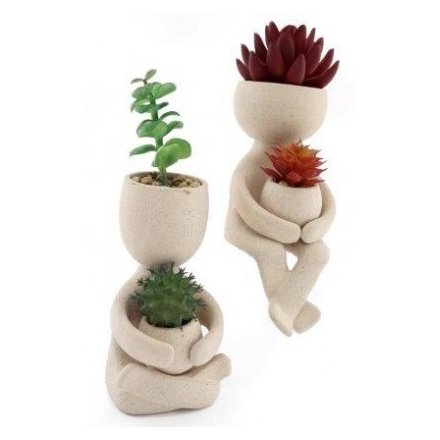 Succulent Character Pots, 22cm