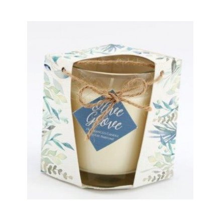 Olive Grove Scented Candle In Box