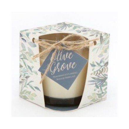 Olive Grove Scented Candle In Box, 8cm