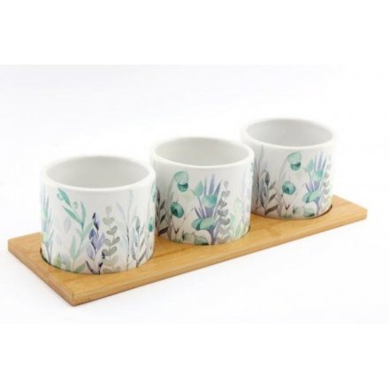 Green Leaf Printed Pots On Wood Stand, 32cm 