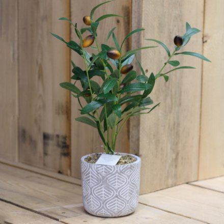 A stylish mix of potted artificial olive tress set within concrete pots with embossed decals 