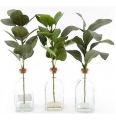 A charmingly simple assortment of artificial leaf sprays placed within clear glass bottles 