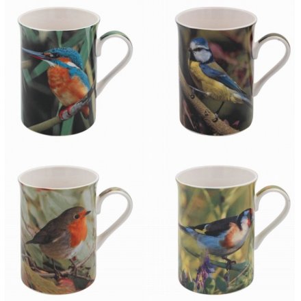 Assorted Bird Print Fine China Mug 
