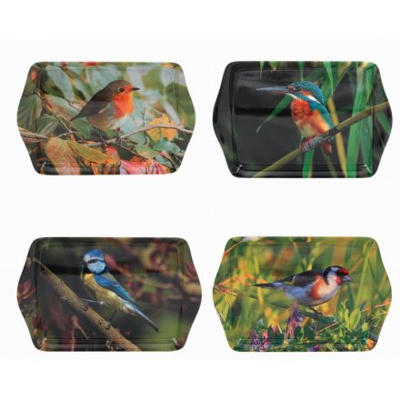 Assorted Bird Serving Trays, Small 