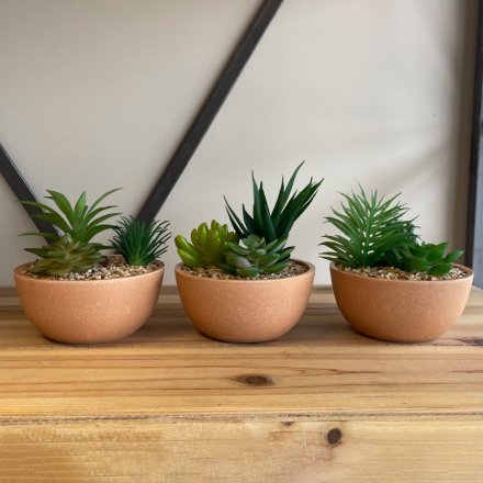  A charmingly simple assortment of potted artificial succulents in natural toned ceramic pots 
