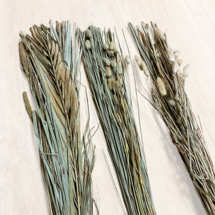  An assortment of naturally dried Slim Grass, perfect for bringing to any home with a Country Charm setting