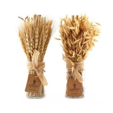 Assorted Dried Avana Grass Bunches, 25cm