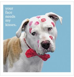  A humorous Greetings card with a photographic animal print. A premium quality gift card, ideal for many recipients!