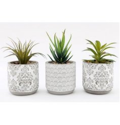 A beautiful assortment of terracotta based pots with charming grey and white printed decals