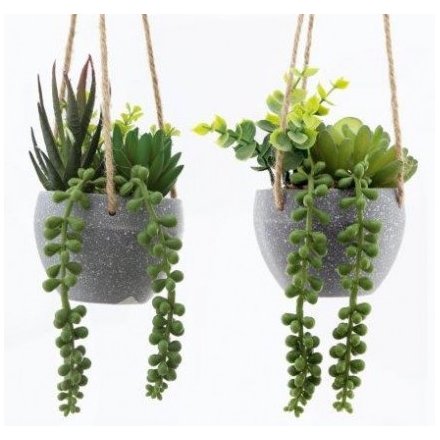 Artificial Hanging Succulents, 40cm 