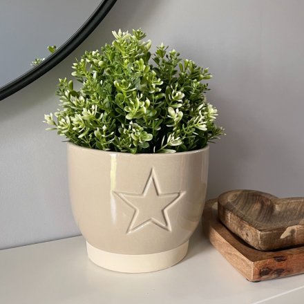 Chic and Simple, a small ceramic pot in a smooth cream colour, complete with an embossed star decal 