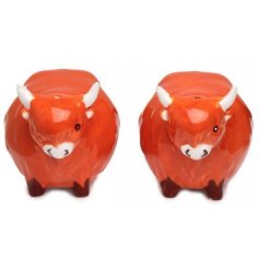 An assorted set of Salt and Pepper Pots in highland cow shapes 