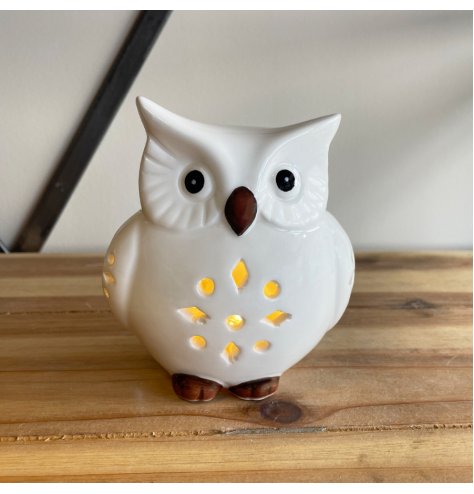 A sweet and simple owl shaped light complete with minimal details and simple colour tones 