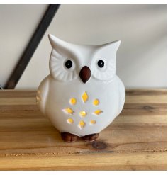 his LED Owl is perfect for projecting a cosy glow to your home