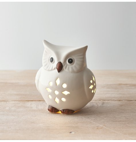A sweet and simple owl shaped light complete with minimal details and simple colour tones 