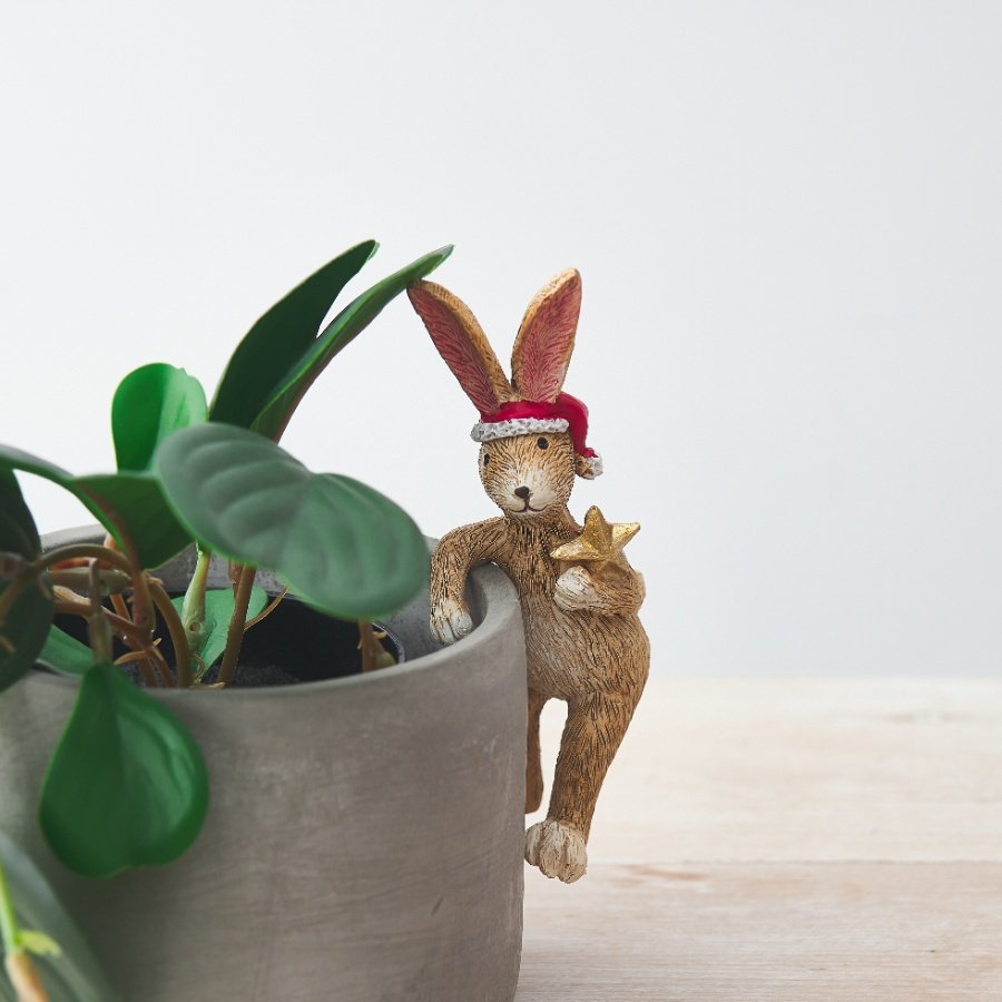  With his festive attire and added little gold star accent, this quirky pot hanging bunny is a must have for the Christm