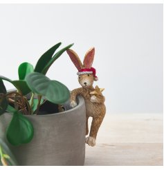  With his festive attire and added little gold star accent, this quirky pot hanging bunny is a must have for the Christm