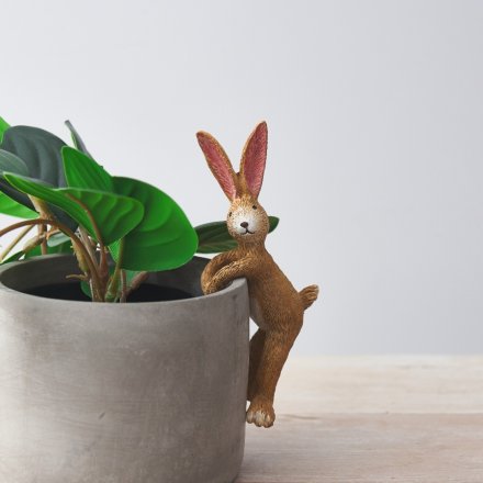 Perfect for adding a Spring hint to any pot or planter, a posed bunny that can be hung from any edge! 
