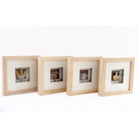 Box Frames With Dried Grass, 18cm 