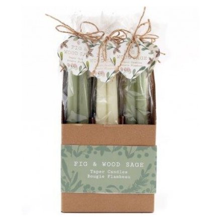 Alpine Sage Tapered Candles 