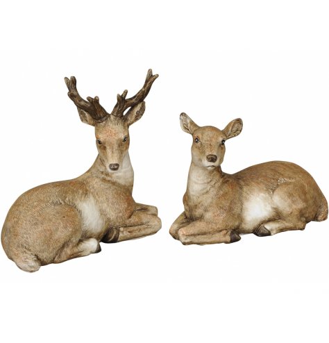 A mix of stag and deer figures with realistic details and a rustic charm to complete the look 