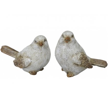 Posed Bird Figures, 8.5cm  