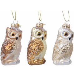 A mix of glass based hanging owl decorations, each composed with its own elegant colouring and glittery finish