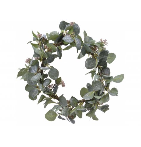 A simple eucalyptus wreath with added frosty finishes and a realistic look 