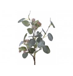 A perfect accent to add to any homemade wreath or garland at Christmas, a frosted glittery eucalyptus stem 