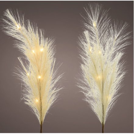 Cream Pampas Fabric Plumes With LEDs, 70cm 
