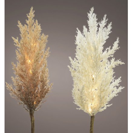 A boho inspired mix of fluffy pampas stems with neutral colour tones and charming LED lights entwined within 