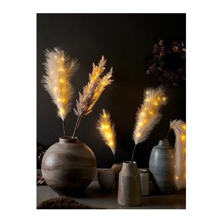 A mix of extra fluffy looking pampas stems, beautifully entwined with warm glowing LED lights 
