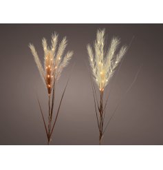 A charming assortment of 2 neutral toned pampas flumes