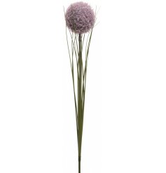 A simple floral stem with a puffy purple flower on top 