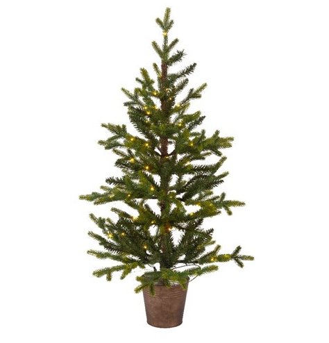 A fabulous full festive potted Queensland Mino tree,  perfect for dressing with your own accessories. Suitable for Indoo